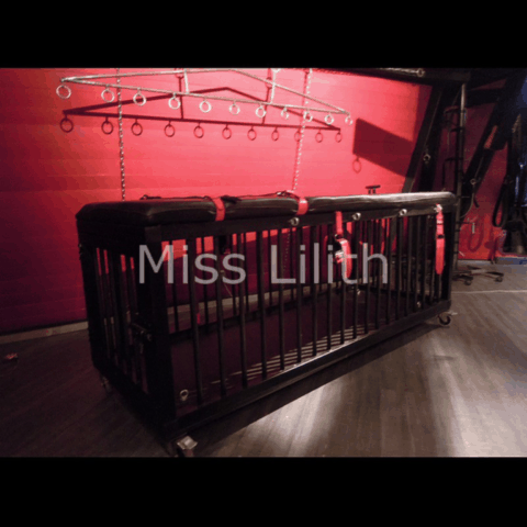 lit cage bdsm